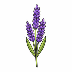 Naklejka premium blue flowers isolated on white background