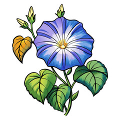 blue and yellow flower