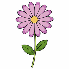 pink flower isolated on white background