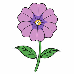 pink flower isolated on white