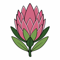 lotus flower vector illustration