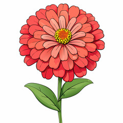 red dahlia flower