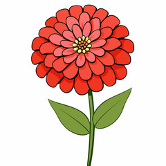 red dahlia flower