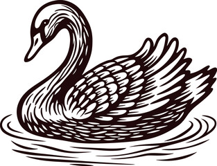 Fototapeta premium of a graceful swan gliding on water with detailed feathers in elegant