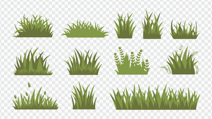 Green grass and plant set vector illustration of nature and foliage