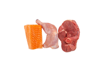Fillet of Salmon, Chicken Thigh and Lamb Leg Steak on a Transparent PNG Background - Protein Sources