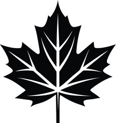Maple leaf silhouette, autumn leaf vector, black foliage icon, seasonal nature design, simple botanical graphic
