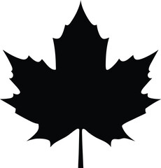 Maple leaf silhouette, autumn leaf vector, black foliage icon, seasonal nature design, simple botanical graphic
