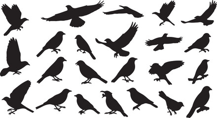 set of silhouettes of birds icons, vector pictogram