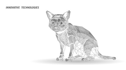 Robot cat low poly illustration. Polygonal feline artificial intelligence animal art. Technology science robotics pet design. White gray geometric background low poly style vector