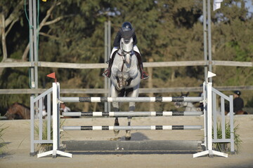 Equestrian Rider and Horse Clearing a Jump in a Showjumping Competition