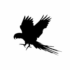 vector illustration