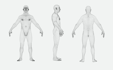 man body  wireframe from different sides, front view,back view,side view, futuristic and technology
