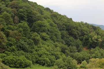 forested mountains on the Black Sea coast