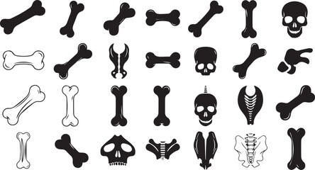 Assorted Human Bones Set