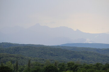 green forests against the backdrop of the Caucasus Mountains in the fog