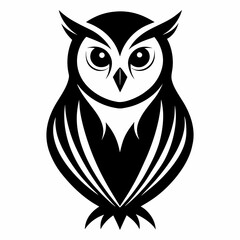 owl on white background