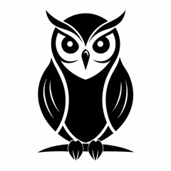 owl on white background