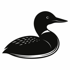black and white duck