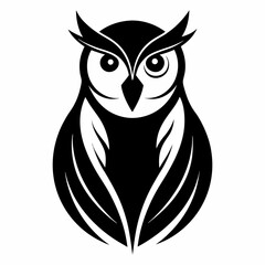 owl on white background