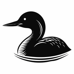 black and white duck