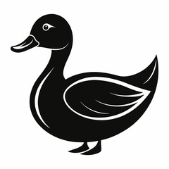 duck vector illustration