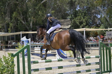 Equestrian Rider and Horse Clearing a Jump in a Showjumping Competition
