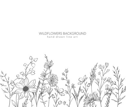 Trendy floral wildflowers and leaves line art illustration. Botanical Line Art Collection of wildflowers. Hand drawn line art graphics. Luxury Fine Line Floral Art. Perfect for Elegant wedding invite