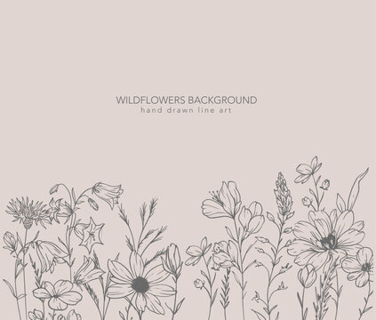 Trendy floral wildflowers and leaves line art illustration. Botanical Line Art Collection of wildflowers. Hand drawn line art graphics. Luxury Fine Line Floral Art. Perfect for Elegant wedding invite