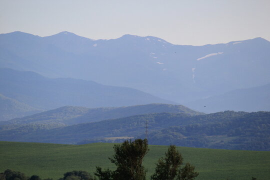 green forests against the backdrop of the Caucasus Mountains in the fog