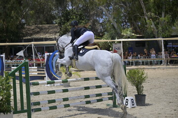 Equestrian Rider and Horse Clearing a Jump in a Showjumping Competition