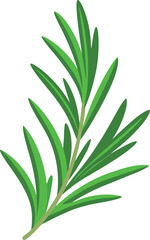 flat color rosemary on the white background