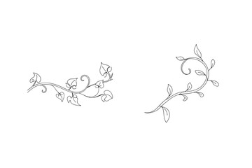 Elegant black and white floral vine elements suitable for decorative design projects