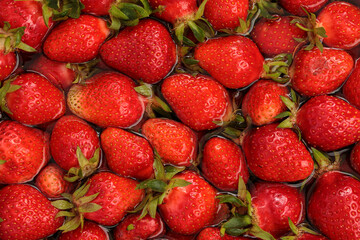 Fresh strawberries in a bowl with water. Summer juicy background for signatures and inscriptions. Creative photo of strawberries.