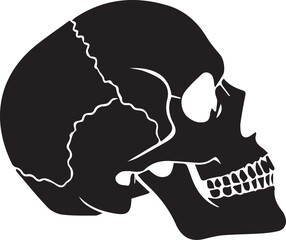 Side View Human Skull Silhouette