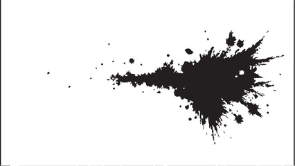 Ink splash isolated on white background. Black drop ink splatter. Black Ink splash texture background. 