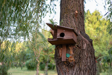 Beautiful birdhouse on a tree for birds