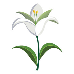 Silken Petals, Soft Embrace, Floral Mood, Spring Hush, Peaceful Spread, Light Veins, Poetic Bloom