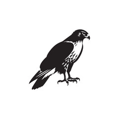 Fototapeta premium **