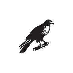 Fototapeta premium **