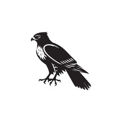 **"Majestic Red-tailed Hawk Vector Silhouette: Powerful Raptor Design Featuring Broad Wings, Distinctive Tail, and Fierce Gaze in Clean, Minimalist Style for Crafts and Digital Art"**
