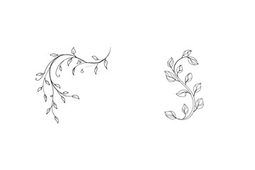 Elegant black and white floral vine illustrations for wedding designs and decorative purposes
