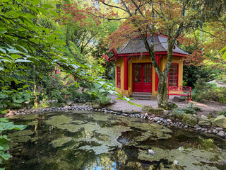 ogród dendrologiczny domek japoński © MR. Stanek