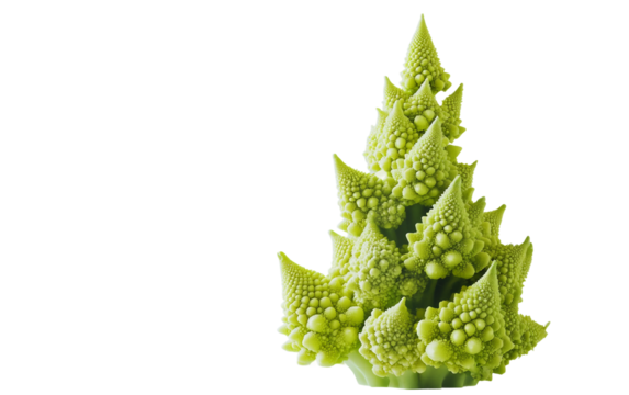 Surreal image showing Romanesco broccoli merging with neon fractal geometry in motion isolated on transparent background PNG - Powered by Adobe