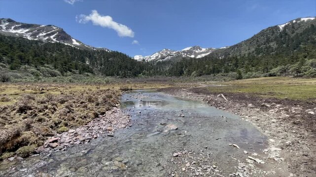 Brook in front of Haba Snow Mountain with forest under blue sky in northern Yunnan Province, China.