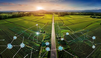 a stunning blend of nature and technology this image showcases a vast green field with a digital pathway symbolizing innovation in modern agriculture