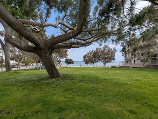 Fanuel Street Park in Mission Bay San Diego California