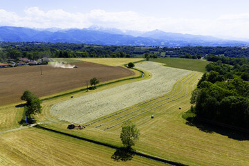 Champs et agriculture