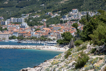 Obraz premium Amazing seascape of Adriatic sea. Near Makarska beach Croatia, Europe. Colorful summer view of small beach. Croatian coast with clear water and pine trees around.