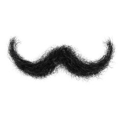 Fototapeta premium A whimsical mustache made of twigs on an isolated bright white background